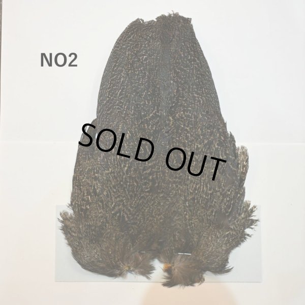 画像2: 【WHITING】Coq de Leon Hen Wing - PRO GRADE (2)