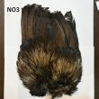 画像3: 【WHITING】Coq de Leon Rooster Wing  - PRO GRADE (3)