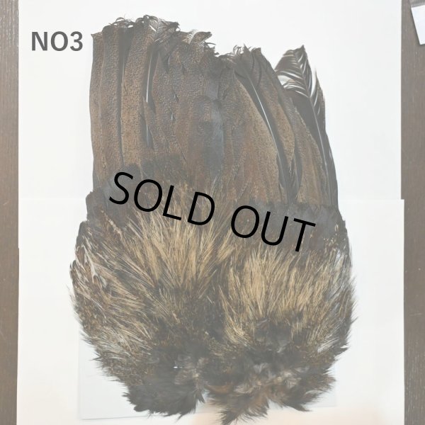 画像3: 【WHITING】Coq de Leon Rooster Wing  - PRO GRADE (3)