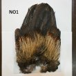 画像1: 【WHITING】Coq de Leon Rooster Wing - BRONZE GRADE   (1)