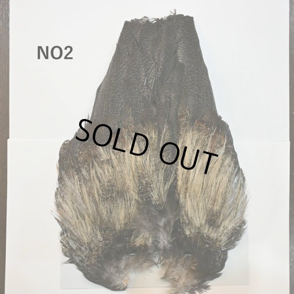 画像2: 【WHITING】Coq de Leon Rooster Wing - BRONZE GRADE   (2)