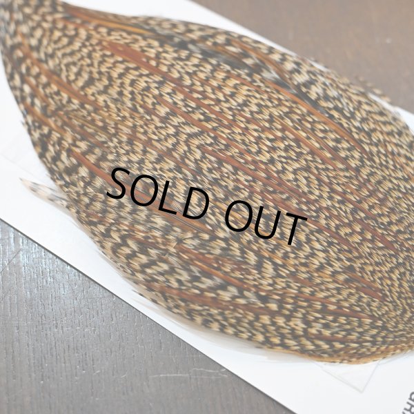 画像6: 【WHITING】Hebert ROOSTER CAPE PRO Grade - Cree No.1 (6)