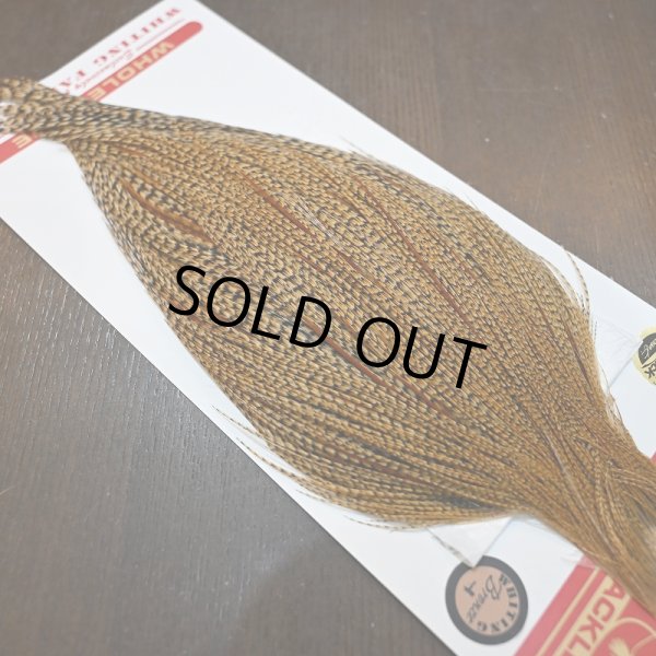 画像5: 【WHITING】ROOSTER CAPE Bronze Grade - Cree No.1 (5)