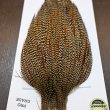 画像4: 【WHITING】ROOSTER CAPE Pro Grade - Cree No.1 (4)