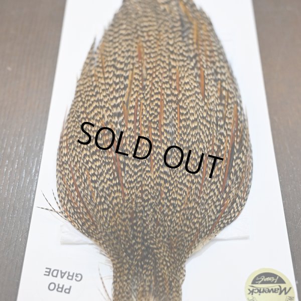 画像4: 【WHITING】ROOSTER CAPE Pro Grade - Cree No.1 (4)