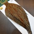 画像3: 【WHITING】Hebert ROOSTER CAPE PRO Grade - Cree No.1 (3)