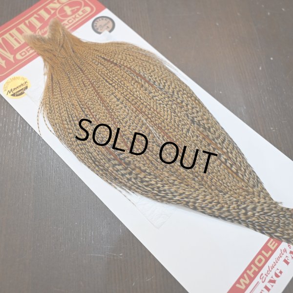 画像2: 【WHITING】ROOSTER CAPE Bronze Grade - Cree No.1 (2)