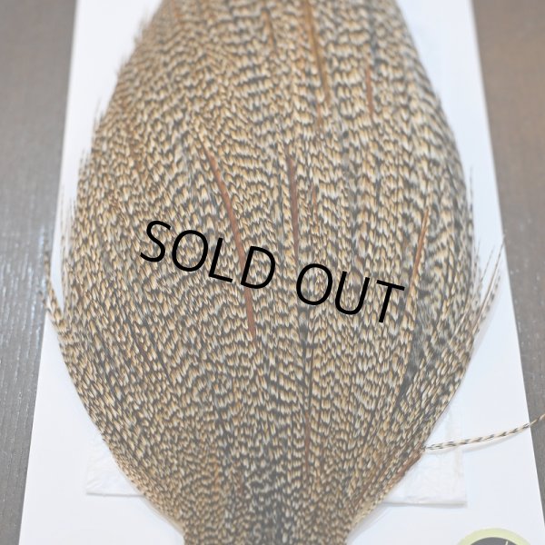 画像4: 【WHITING】Hebert ROOSTER CAPE PRO Grade - Cree No.2 (4)