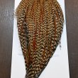 画像2: 【WHITING】Hebert ROOSTER CAPE PRO Grade - Cree No.1 (2)