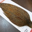 画像5: 【WHITING】ROOSTER CAPE Pro Grade - Cree No.1 (5)