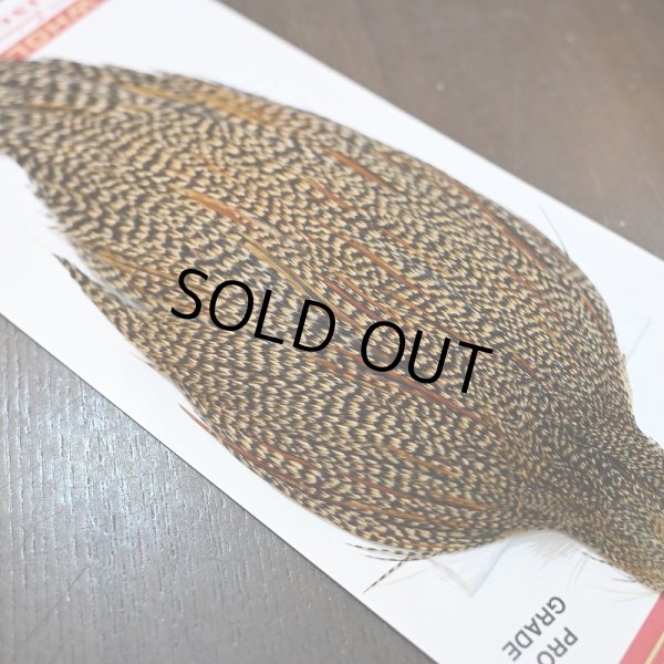 画像5: 【WHITING】ROOSTER CAPE Pro Grade - Cree No.1 (5)