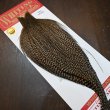 画像2: 【WHITING】ROOSTER CAPE Pro Grade - Cree No.2 (2)