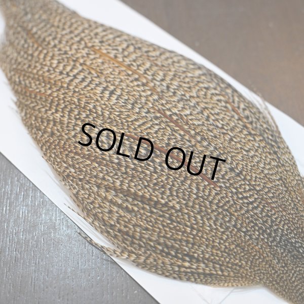 画像5: 【WHITING】Hebert ROOSTER CAPE PRO Grade - Cree No.2 (5)