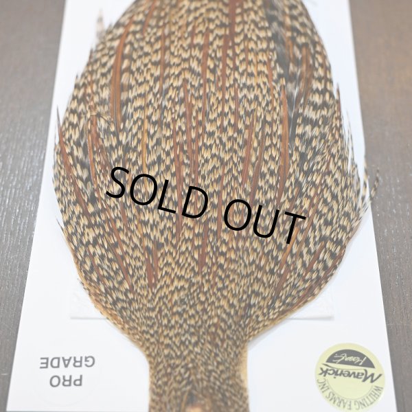 画像5: 【WHITING】Hebert ROOSTER CAPE PRO Grade - Cree No.1 (5)