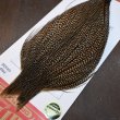 画像3: 【WHITING】ROOSTER CAPE Pro Grade - Cree No.2 (3)