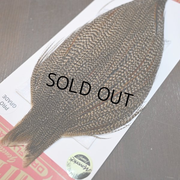 画像3: 【WHITING】ROOSTER CAPE Pro Grade - Cree No.2 (3)