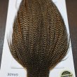 画像4: 【WHITING】ROOSTER CAPE Pro Grade - Cree No.2 (4)