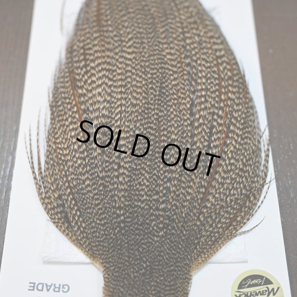 画像4: 【WHITING】ROOSTER CAPE Pro Grade - Cree No.2 (4)