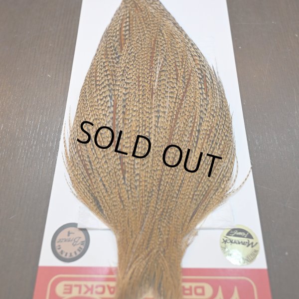 画像4: 【WHITING】ROOSTER CAPE Bronze Grade - Cree No.1 (4)