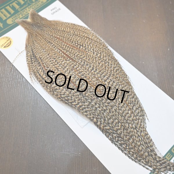 画像2: 【WHITING】Hebert ROOSTER CAPE PRO Grade - Cree No.2 (2)