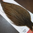 画像5: 【WHITING】ROOSTER CAPE Pro Grade - Cree No.2 (5)