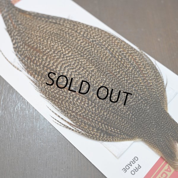 画像5: 【WHITING】ROOSTER CAPE Pro Grade - Cree No.2 (5)