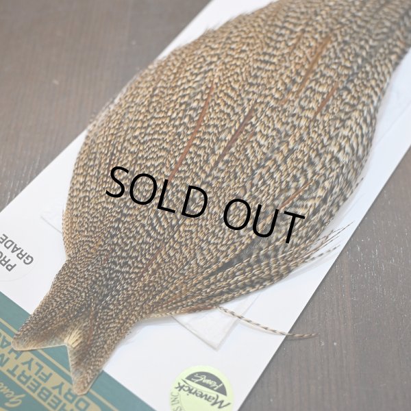 画像3: 【WHITING】Hebert ROOSTER CAPE PRO Grade - Cree No.2 (3)