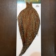 画像1: 【WHITING】Hebert ROOSTER CAPE PRO Grade - Cree No.1 (1)