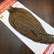 画像2: 【WHITING】ROOSTER CAPE Pro Grade - Cree No.1 (2)