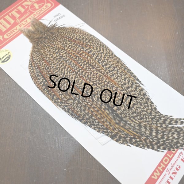 画像2: 【WHITING】ROOSTER CAPE Pro Grade - Cree No.1 (2)