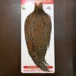 画像1: 【WHITING】ROOSTER CAPE Pro Grade - Cree No.1 (1)