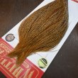 画像3: 【WHITING】ROOSTER CAPE Bronze Grade - Cree No.1 (3)
