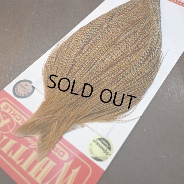 画像3: 【WHITING】ROOSTER CAPE Bronze Grade - Cree No.1 (3)