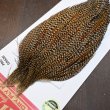 画像3: 【WHITING】ROOSTER CAPE Pro Grade - Cree No.1 (3)