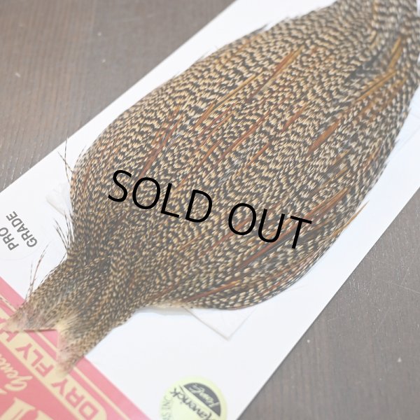 画像3: 【WHITING】ROOSTER CAPE Pro Grade - Cree No.1 (3)