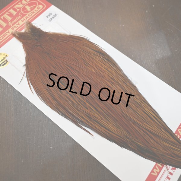 画像2: 【WHITING】ROOSTER CAPE PRO grade - Furnace No.1 (2)