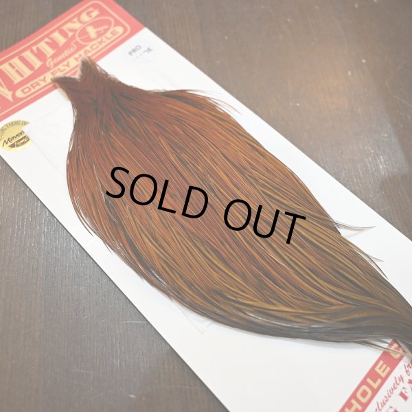 画像2: 【WHITING】ROOSTER CAPE PRO grade - Furnace No.2 (2)