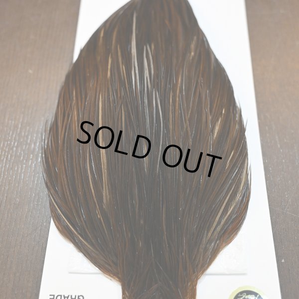 画像4: 【WHITING】Hebert ROOSTER CAPE PRO Grade - DARK BROWN DUN (4)