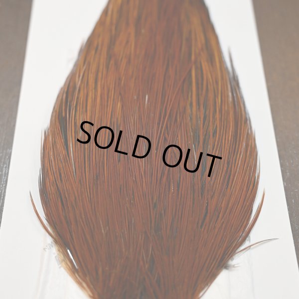 画像4: 【WHITING】ROOSTER CAPE PRO grade - Furnace No.1 (4)