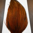画像4: 【WHITING】ROOSTER CAPE PRO grade - Furnace No.2 (4)