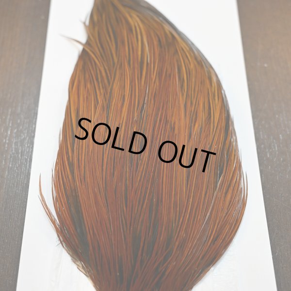 画像4: 【WHITING】ROOSTER CAPE PRO grade - Furnace No.2 (4)