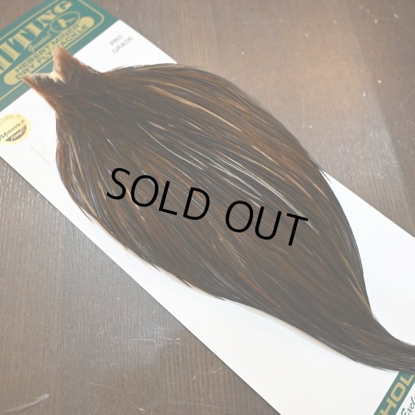 画像2: 【WHITING】Hebert ROOSTER CAPE PRO Grade - DARK BROWN DUN (2)