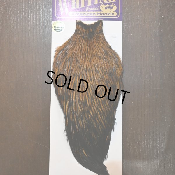 画像1: 【WHITING】American Rooster Cape - FURNACE (1)