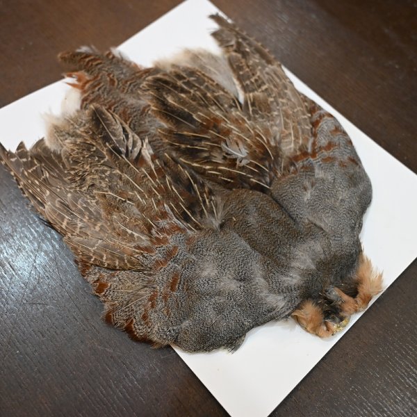 画像2: ハンガリアンパートリッジ コンプリート No.1 (2)