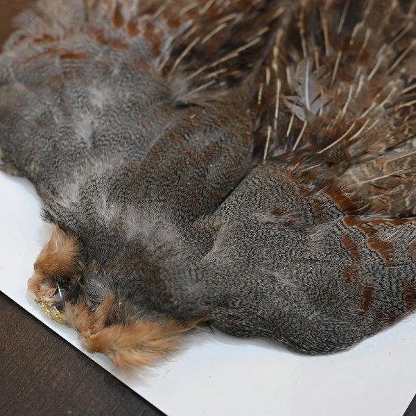 画像3: ハンガリアンパートリッジ コンプリート No.1 (3)