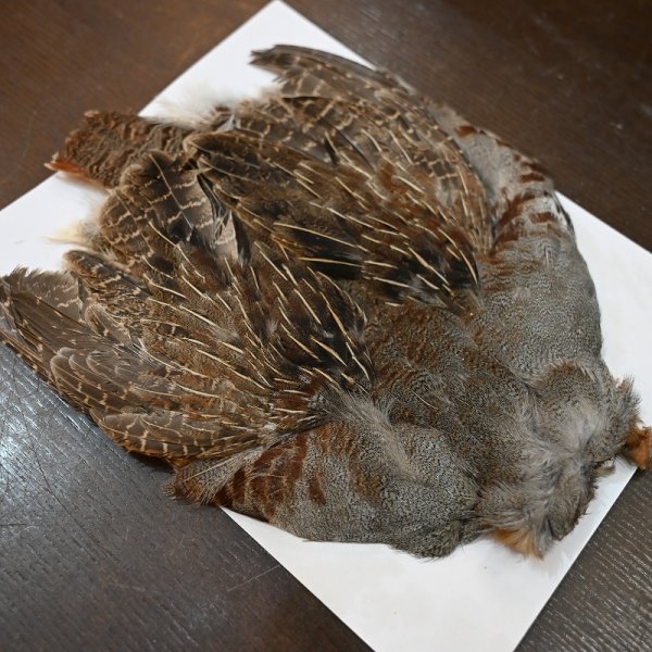 画像3: ハンガリアンパートリッジ コンプリート No.2 (3)