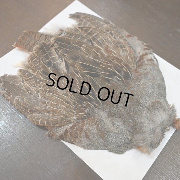 画像3: ハンガリアンパートリッジ コンプリート No.2 (3)