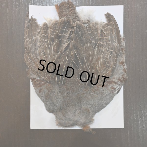 画像1: ハンガリアンパートリッジ コンプリート No.2 (1)