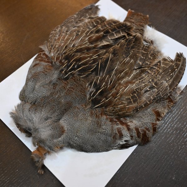 画像4: ハンガリアンパートリッジ コンプリート No.2 (4)