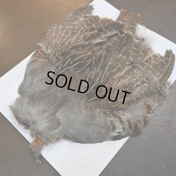 画像4: ハンガリアンパートリッジ コンプリート No.2 (4)